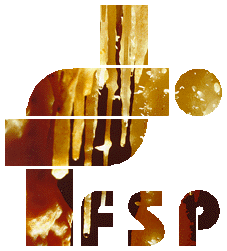 Logo FSP