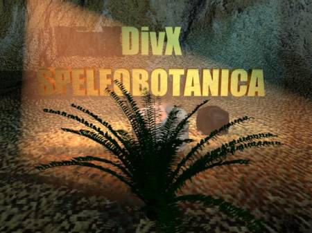 Speleobotanica