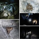 La Grotta delle Lungaie svela i suoi segreti: falene zombie e una colonia di pipistrelli in Val Trebbia