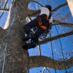 Corso di formazione per addetti all’accesso e posizionamento mediante funi su alberi a Monte Marenzo
