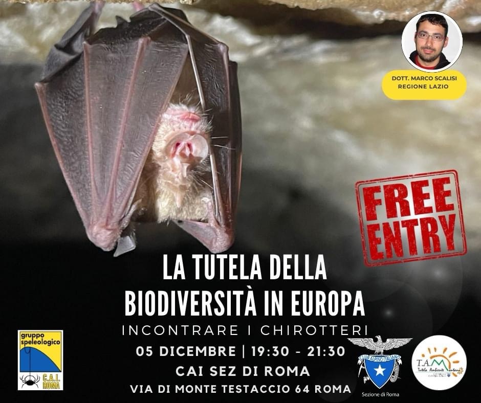 Incontro sui pipistrelli