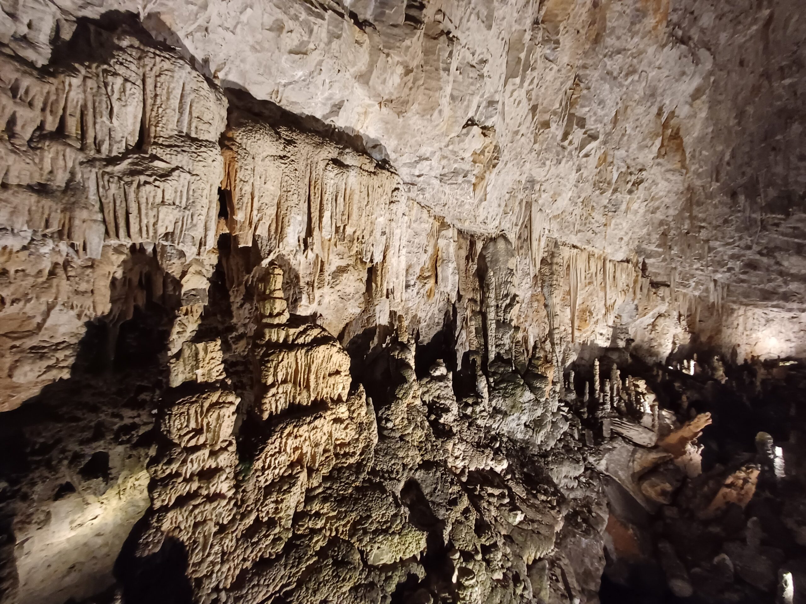 Grotta Gigante, chiamata anche Briška jama in sloveno, è la grotta carsica contenente la sala naturale più grande al mondo - foto Marina Abisso