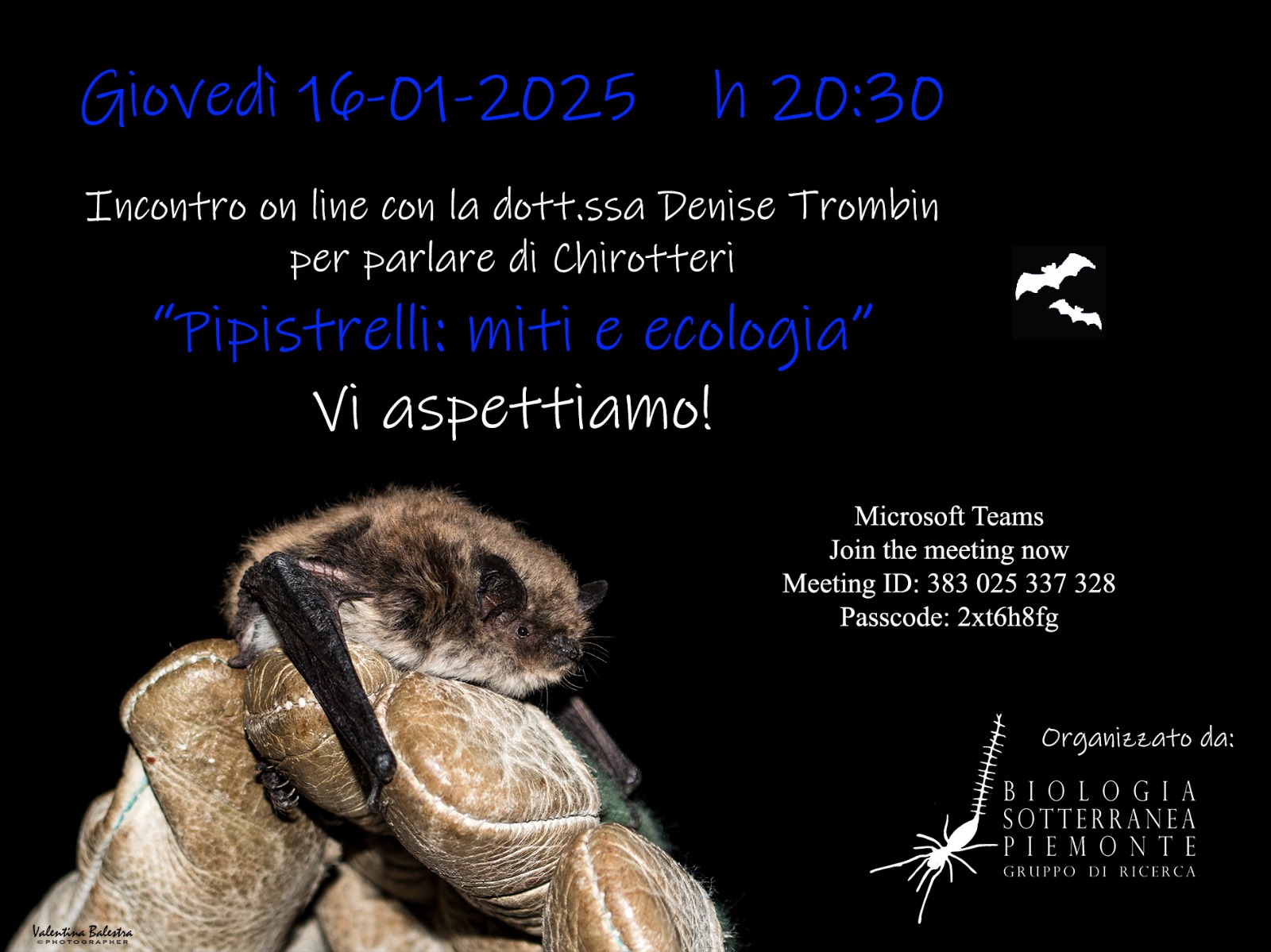 Questo incontro è dedicato alla scoperta del mondo affascinante dei pipistrelli, creature spesso circondate da miti e credenze popolari, ma che rivestono un ruolo fondamentale per l'equilibrio ecologico. La dott.ssa Denise Trombin guiderà i partecipanti in un viaggio per sfatare pregiudizi, esplorare la biologia dei chirotteri e comprendere la loro importanza nella conservazione della biodiversità e degli ecosistemi. Un'occasione unica per approfondire la conoscenza di questi animali straordinari e il loro legame con l'ambiente.