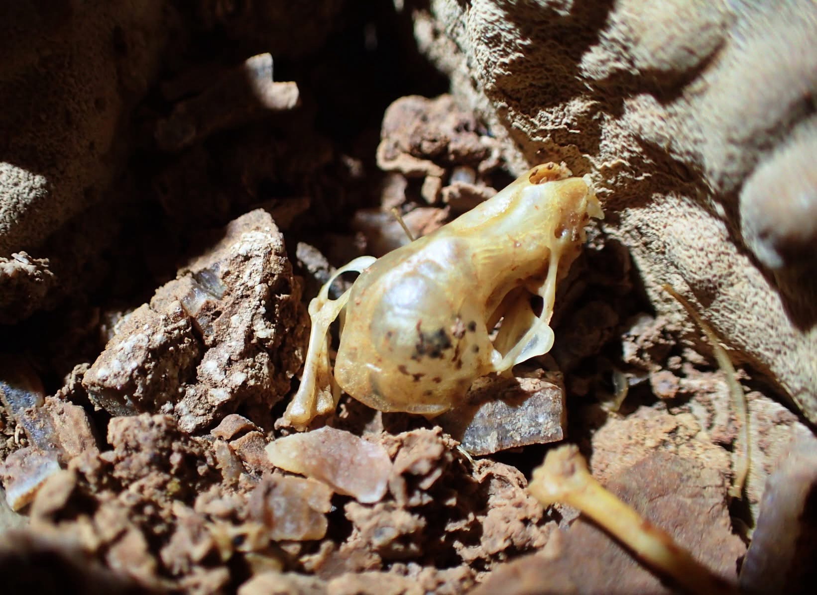 grotta siberiana