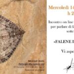 Le falene incontrano il buio: nuovo appuntamento con Biologia Sotterranea