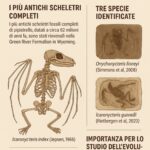 Antichi cieli di pipistrelli: i fossili più completi mai scoperti riscrivono l’evoluzione del volo nei mammiferi