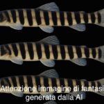 Nuova specie di pesce troglobio scoperta nelle grotte di Meghalaya, India