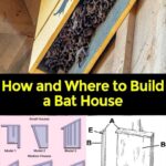 Come costruire una bat box: guida pratica per realizzare rifugi per pipistrelli