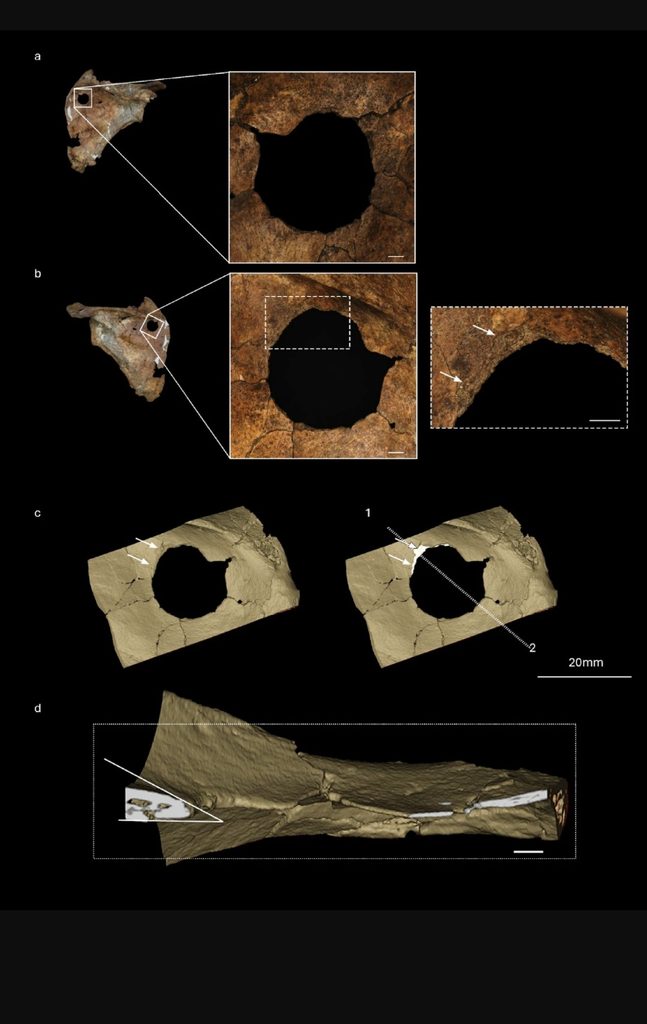 Rany jaskyne Shanidar: neandertálci v Iraku